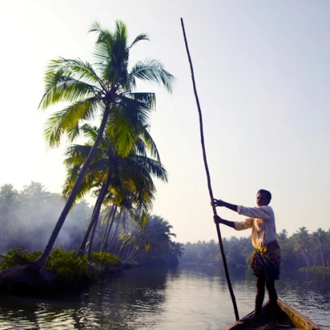 d6b59c74acd06fd407e3a6f1e2fef962_indian-boatman-through-backwaters-kerala_53876-11178-465-465-c-100