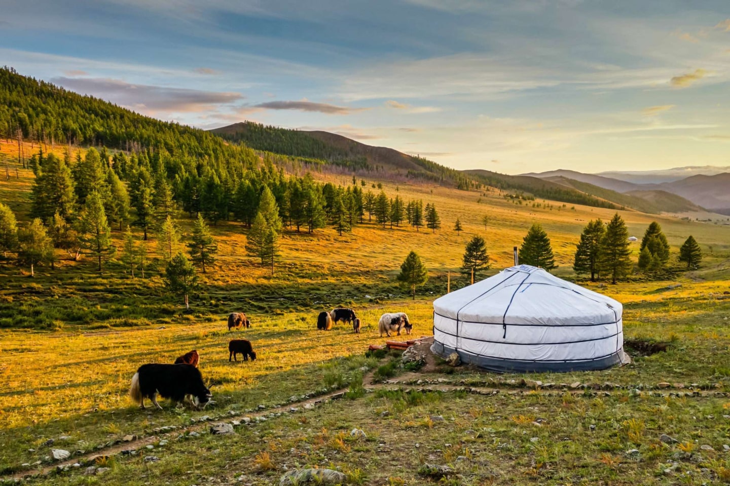 Mongolie - Insolite - Khangai, Désert de Bayan Gobi et Lac Khovsgol (2)