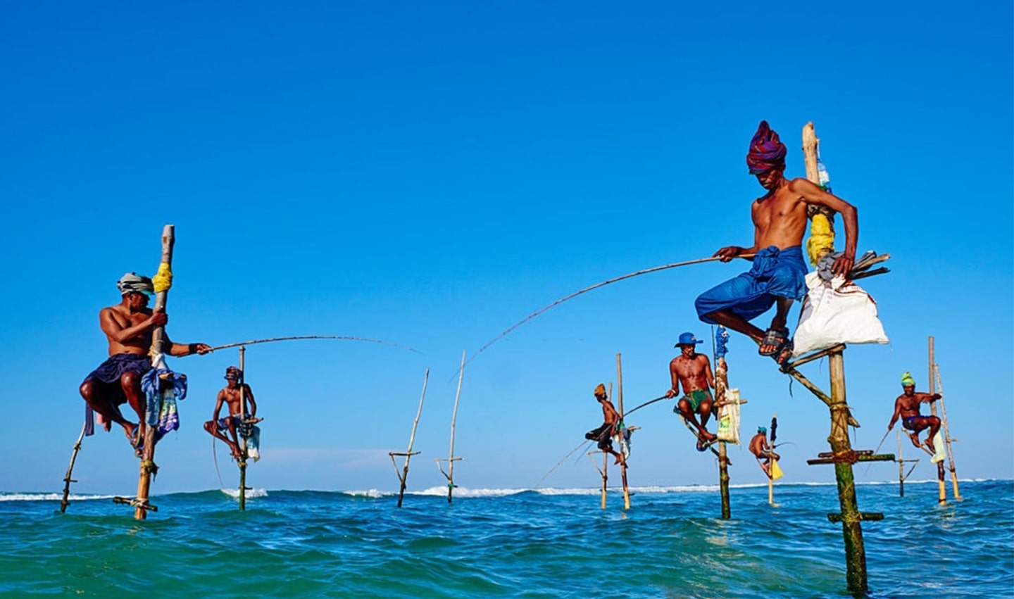 Sri Lanka prestigieux la côte Est (2)