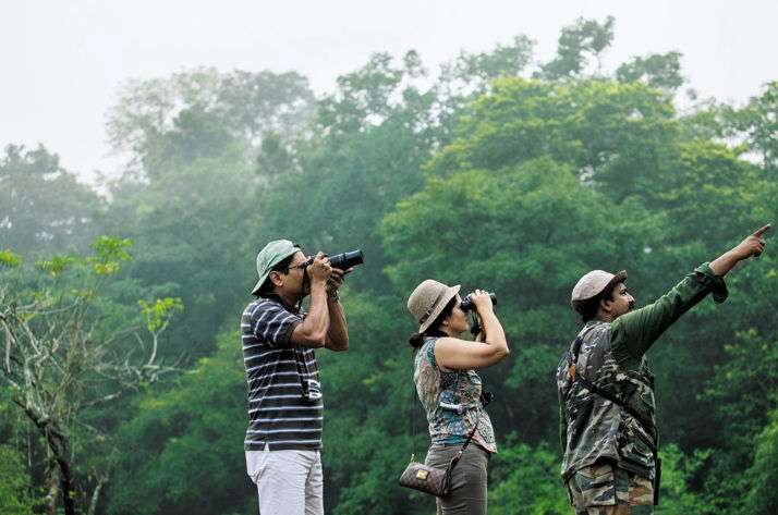 bird-watching-thattekad-1-714x473-1.jpg