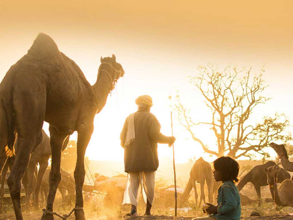 rajasthan-2