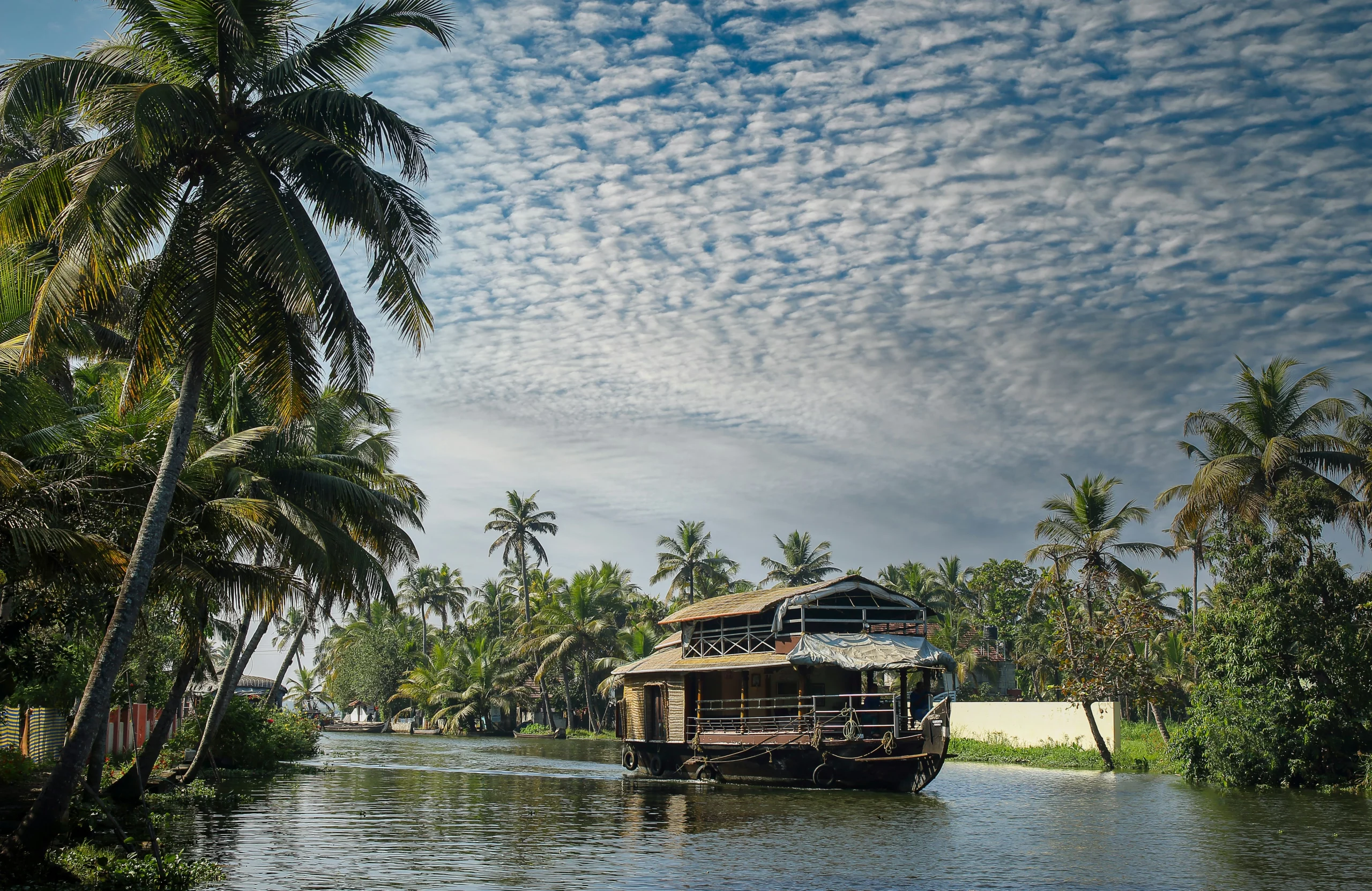 dileep-m-rv5ddI1WyCw-unsplash