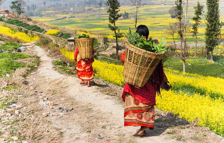 village-life-in-nepal